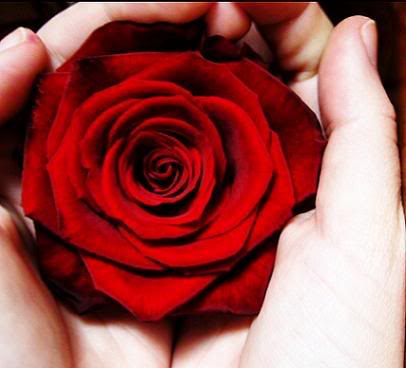 A bit of fragrance clings to the hand that distributes roses